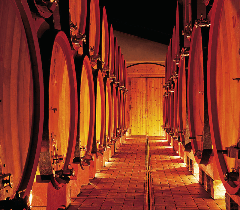 Tenuta di Sesta vinkælder Tenuta di Sesta vinkælder