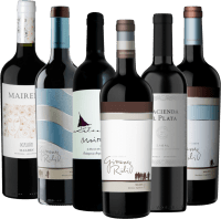 pakke med 6 druesorter - Best of Malbec Argentina