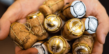 Rheingau sekt fra vingården Barth