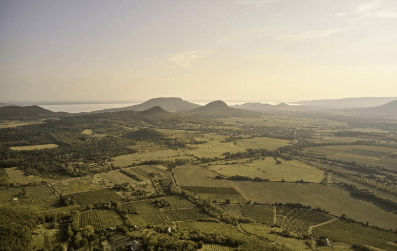 Vinene fra Balaton - fugleperspektiv