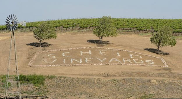 scheid-vineyards